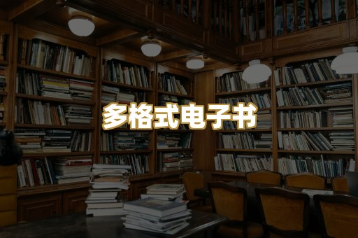 多格式电子书